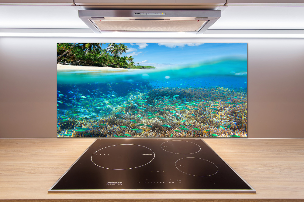 Cooker splashback Coral reef