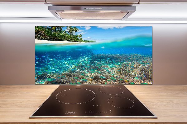 Cooker splashback Coral reef