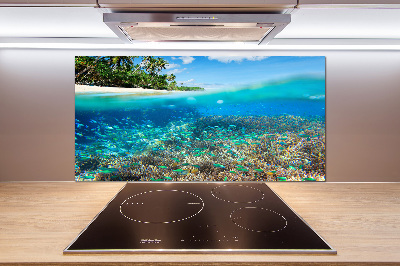 Cooker splashback Coral reef