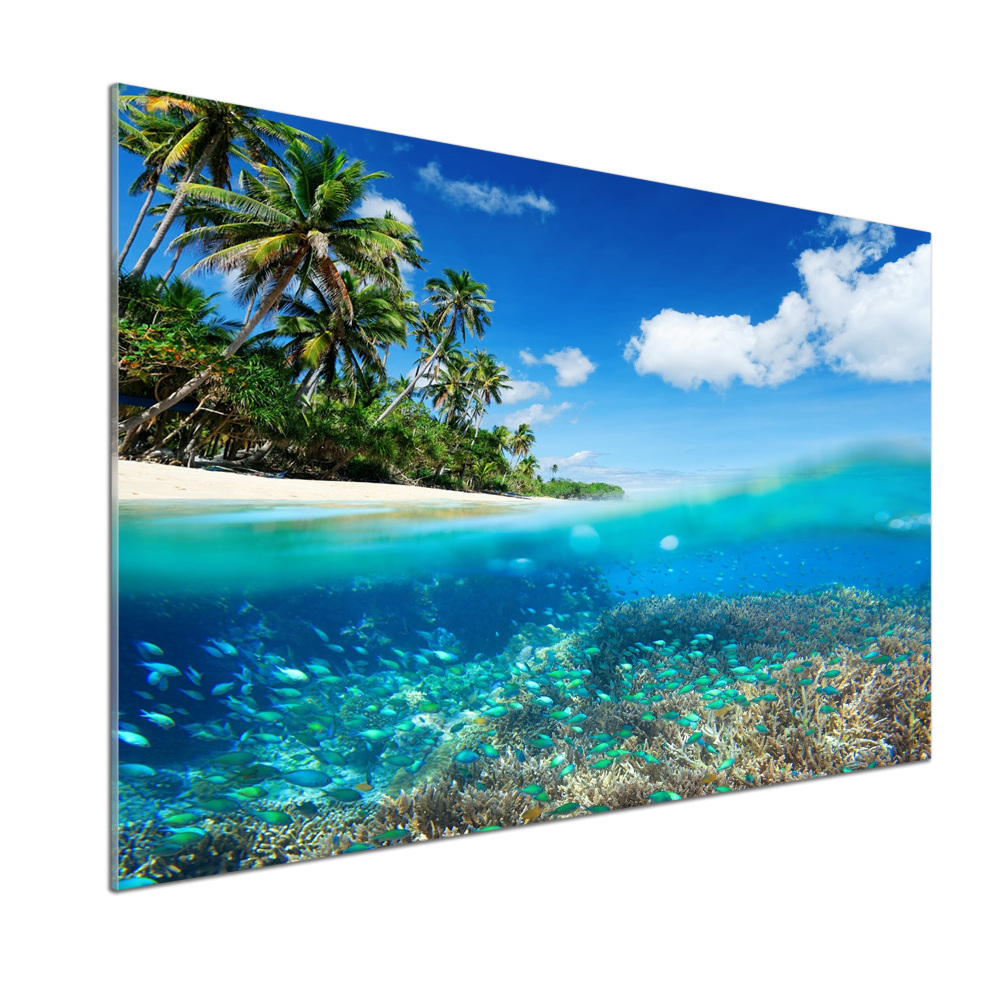 Cooker splashback Coral reef