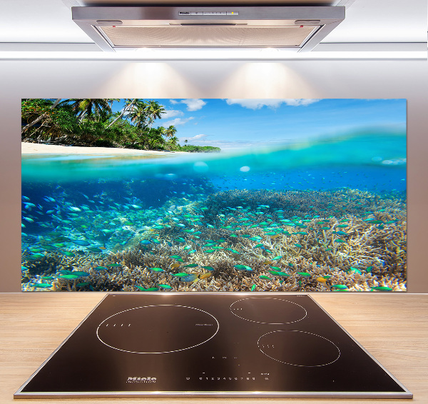 Cooker splashback Coral reef