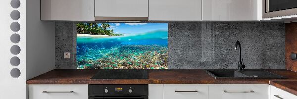 Cooker splashback Coral reef