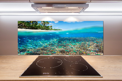 Cooker splashback Coral reef