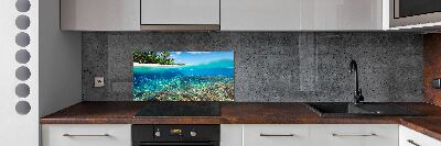 Cooker splashback Coral reef