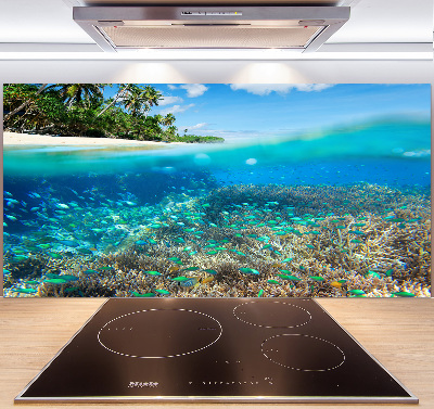 Cooker splashback Coral reef