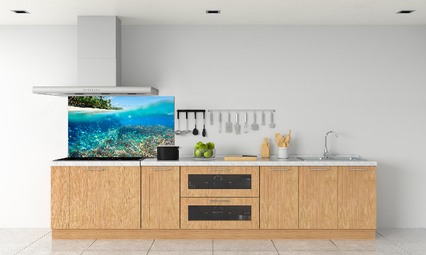 Cooker splashback Coral reef