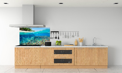 Cooker splashback Coral reef