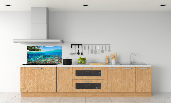 Cooker splashback Coral reef