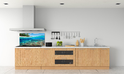 Cooker splashback Coral reef