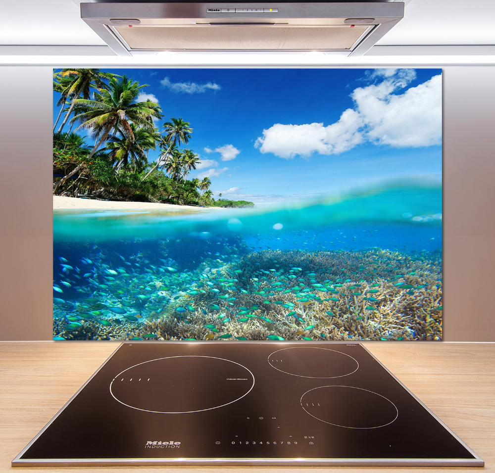 Cooker splashback Coral reef