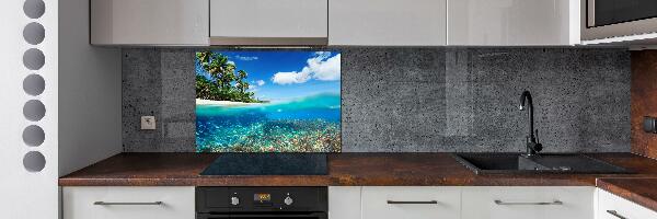 Cooker splashback Coral reef