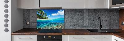 Cooker splashback Coral reef