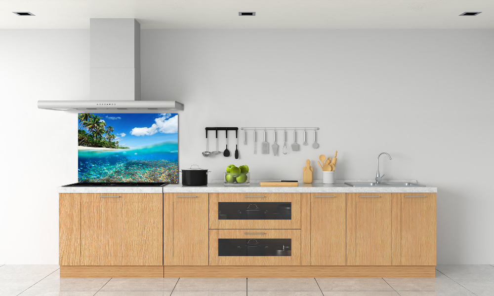 Cooker splashback Coral reef