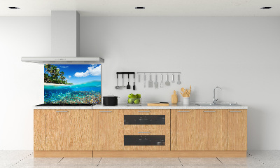 Cooker splashback Coral reef