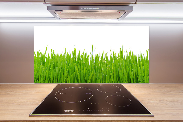 Kitchen splashback Grass