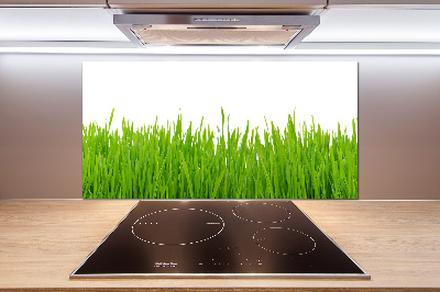 Kitchen splashback Grass