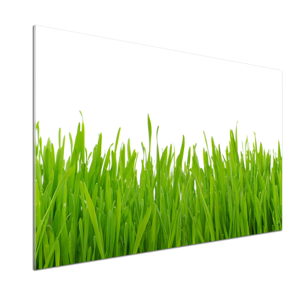 Kitchen splashback Grass