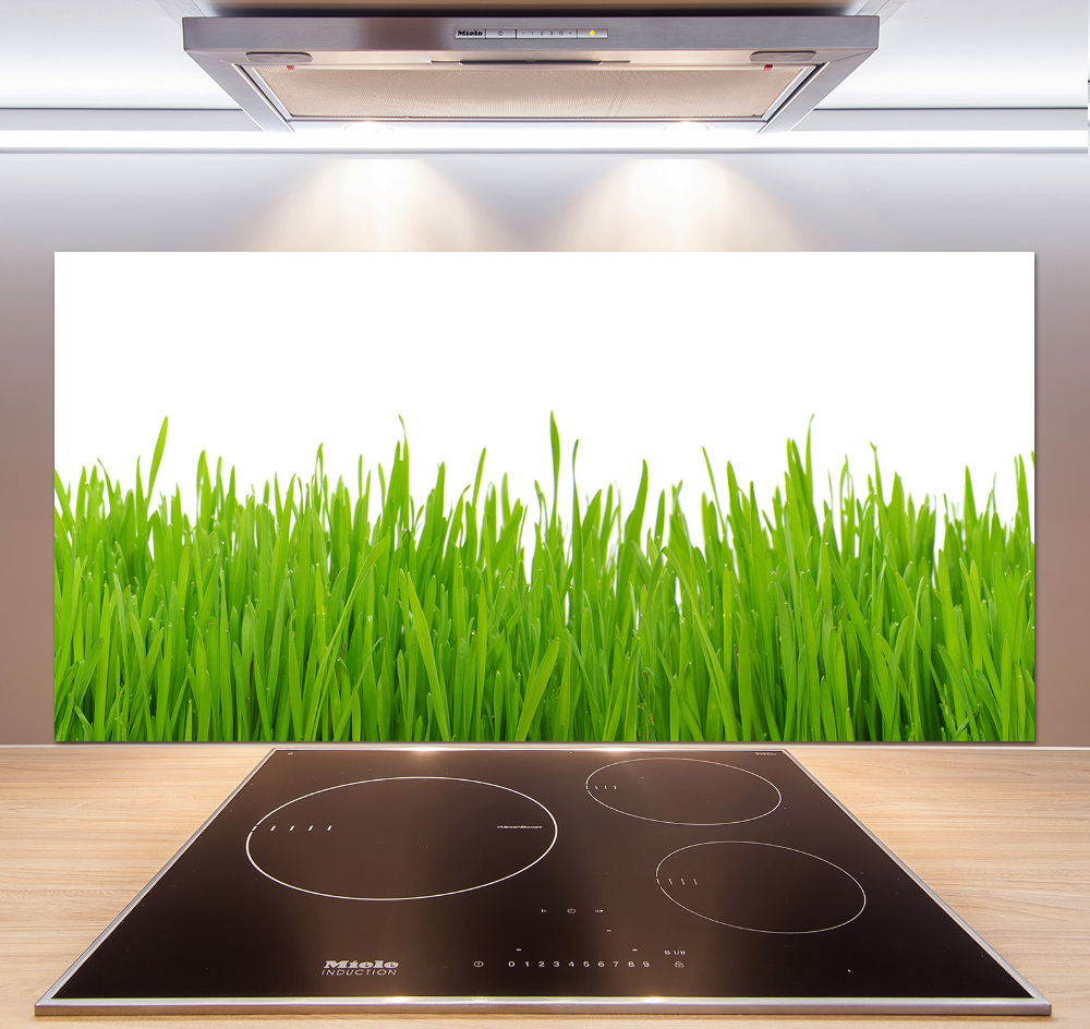 Kitchen splashback Grass