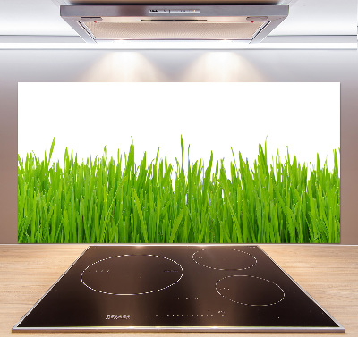 Kitchen splashback Grass