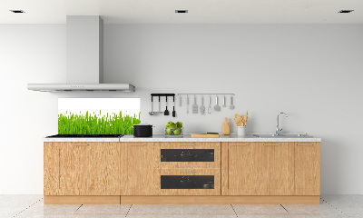 Kitchen splashback Grass