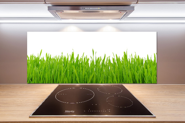 Kitchen splashback Grass