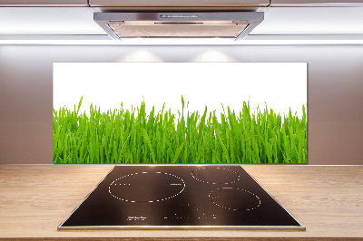 Kitchen splashback Grass