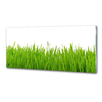 Kitchen splashback Grass