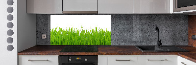 Kitchen splashback Grass