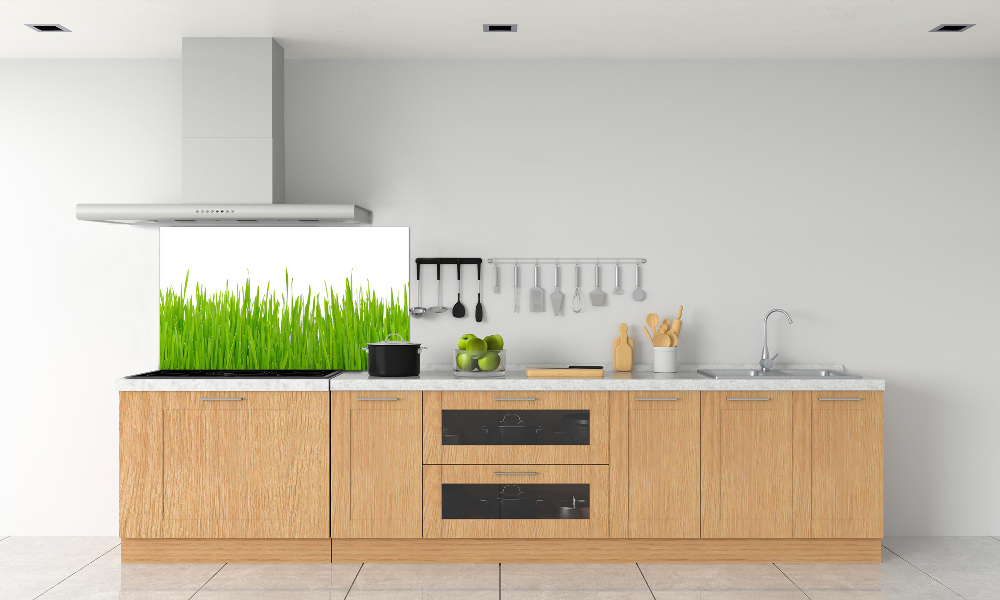 Kitchen splashback Grass