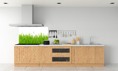 Kitchen splashback Grass