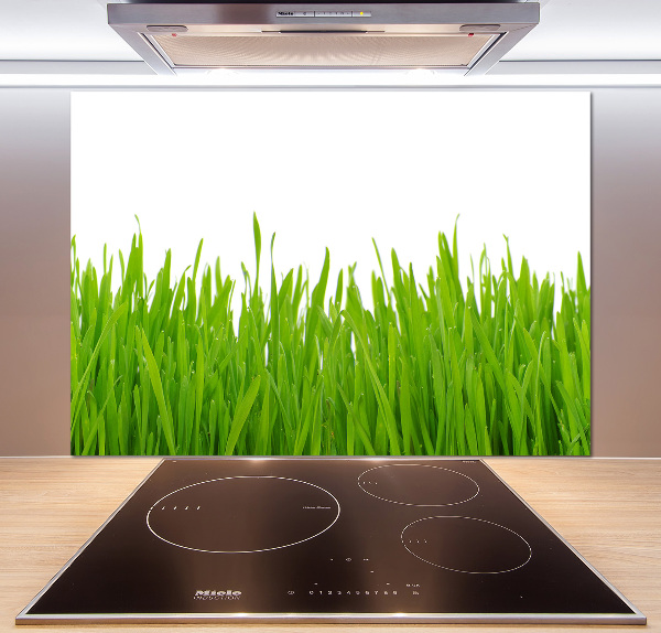 Kitchen splashback Grass