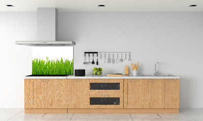 Kitchen splashback Grass