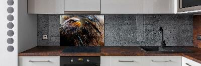 Cooker splashback Eagle