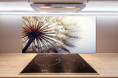 Kitchen splashback Dandelion