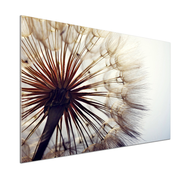 Kitchen splashback Dandelion