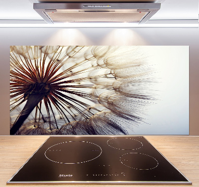 Kitchen splashback Dandelion