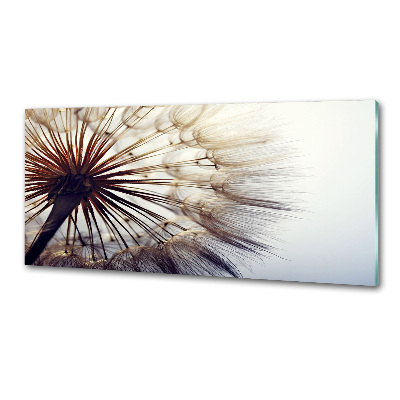 Kitchen splashback Dandelion