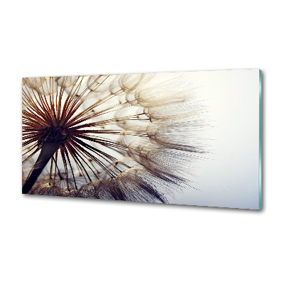 Kitchen splashback Dandelion