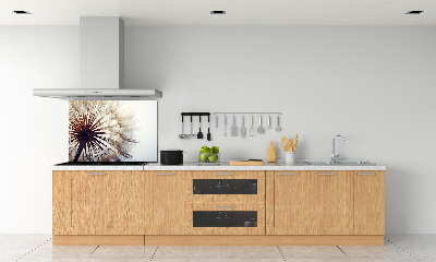 Kitchen splashback Dandelion