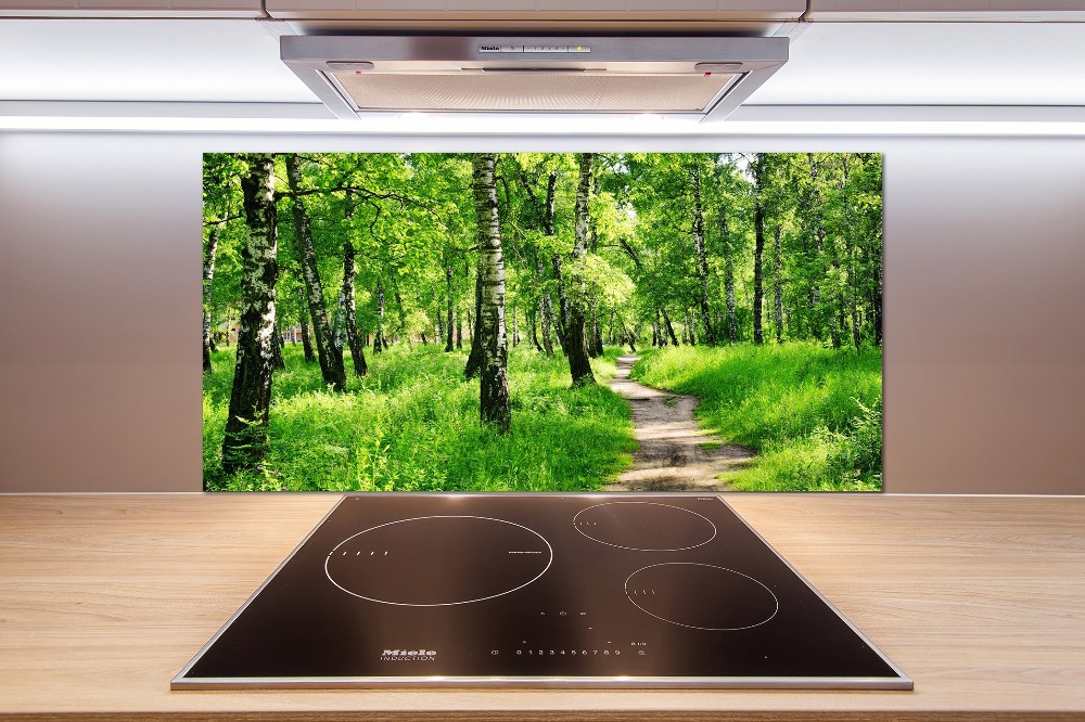 Cooker splashback Birch forest