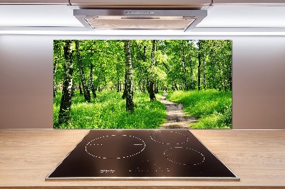 Cooker splashback Birch forest