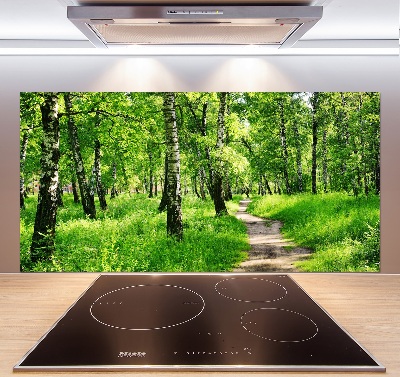 Cooker splashback Birch forest