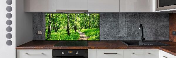 Cooker splashback Birch forest