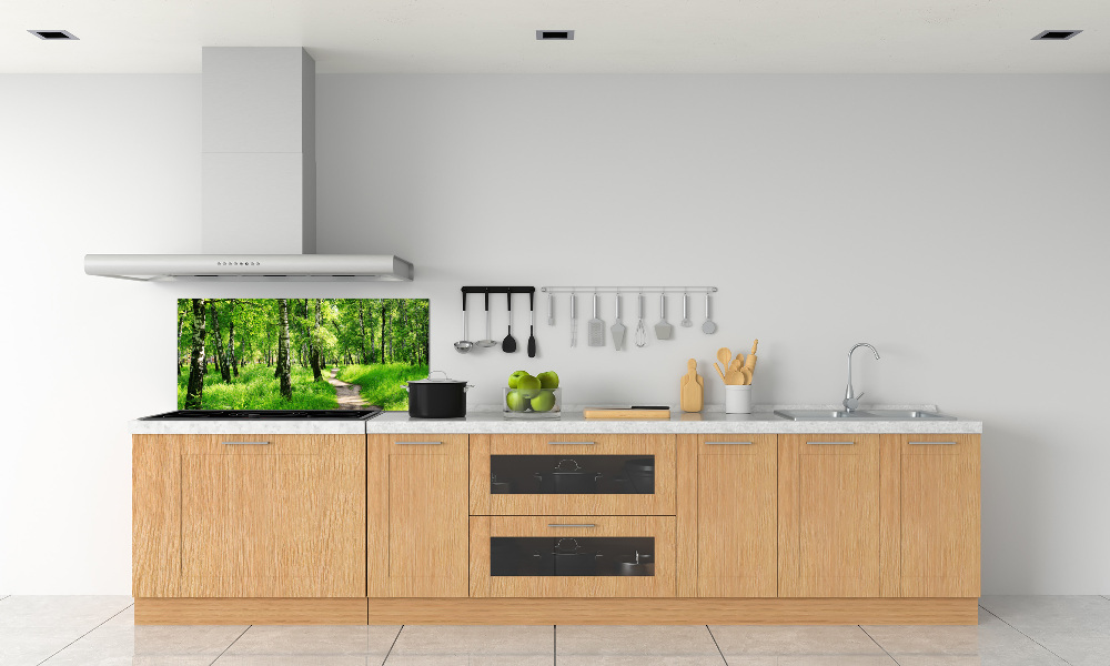 Cooker splashback Birch forest