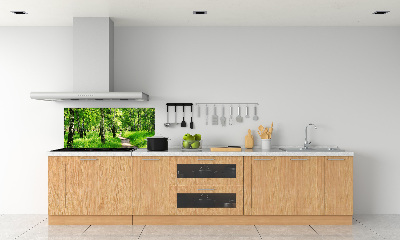 Cooker splashback Birch forest