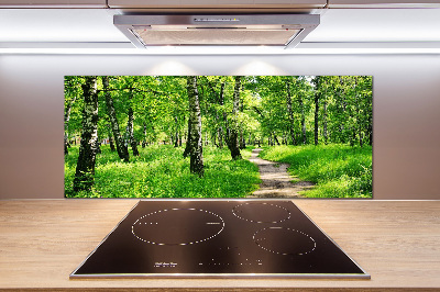 Cooker splashback Birch forest