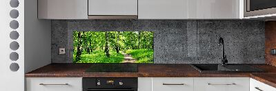 Cooker splashback Birch forest