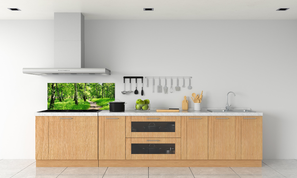 Cooker splashback Birch forest