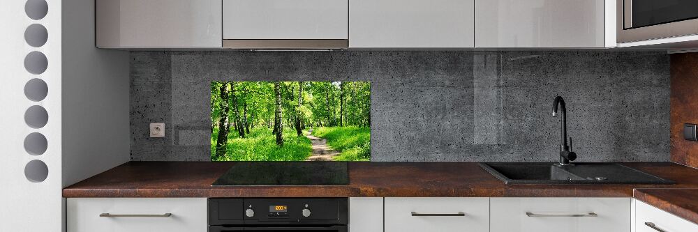 Cooker splashback Birch forest