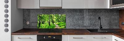 Cooker splashback Birch forest